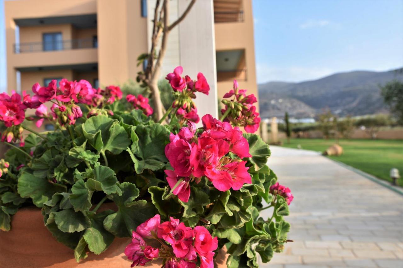 Golden Bay Hotel Apartments Malia  Exterior photo